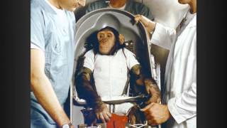 Monkeys in Space - Decades TV Network