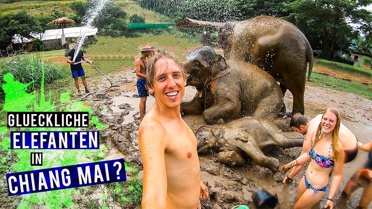 Das beste Elefanten Sanctuary in Chiang Mai 2019 / Thailand