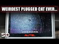 Weirdest Plugged Cat Ever??