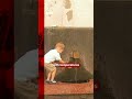 New video by BBC News on YouTube