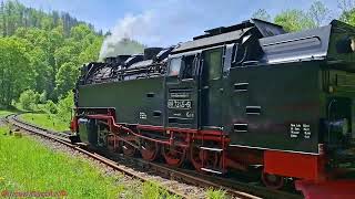 Dampf - und Dieselpower auf der Harzquer - und Selketalbahn zu Pfingsten 2026. #harzliebe #harz