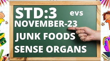 JUNK FOODS CLASS-3  EVS  WORKSHEET  NOVEMBER-23
