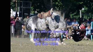 Watch Marty Robbins The Strawberry Roan video