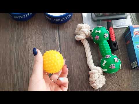 Покупки для щенка/Ева немецкий малый шпиц