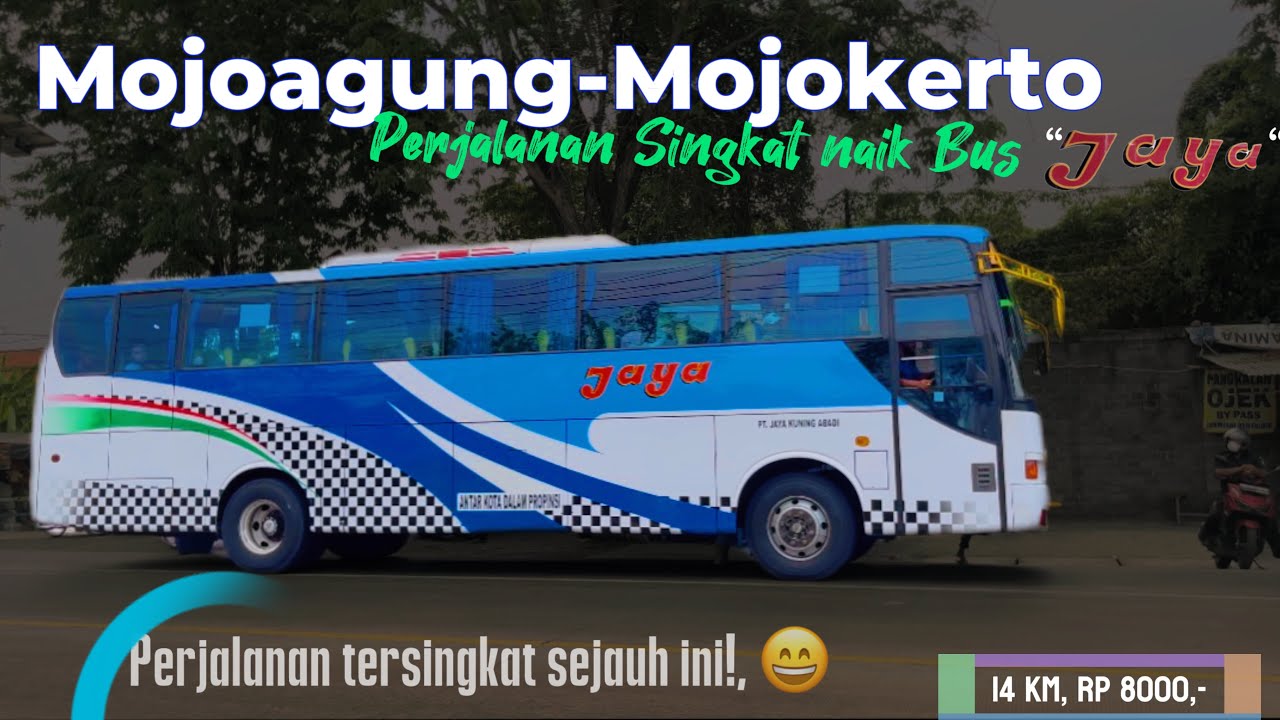 Trip Singkat Mojoagung Jombang-Mojokerto Naik Bus JAYA, Perjalanan Pulang Dari Wonosalam Naik DAMRI