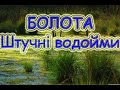 Болота.  Штучні водойми. Навчально-пізнавальне відео для дітей. Географія 6 клас