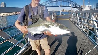 Fishing Sydney Harbour screenshot 4