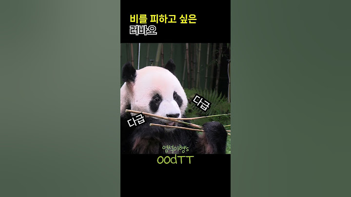 비를 피하고 싶은 러바오