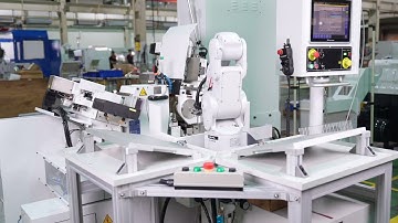 PCB 3010 6 PALMARY EMO 2023 DAEKMO