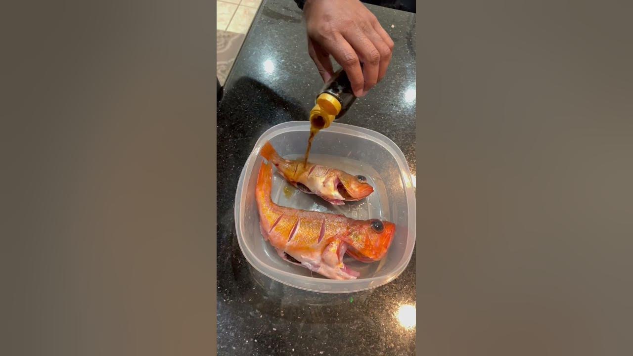 Eat The Whole Fish! 🎣 Rockfish Catch and Cook #fishing #recipe #cooking