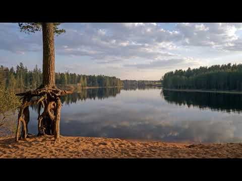Ленинградская область Гатчинский район Вырица