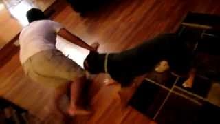 Pitbull Humping Little Fat Kid Pitbull Humping Little Fat Kid