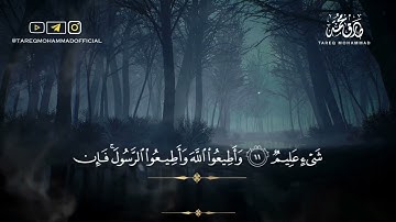 سورة التغابن كاملة إصدار جديد    تلاوة مليئة بالطمأنينة    القارئ طارق محمد