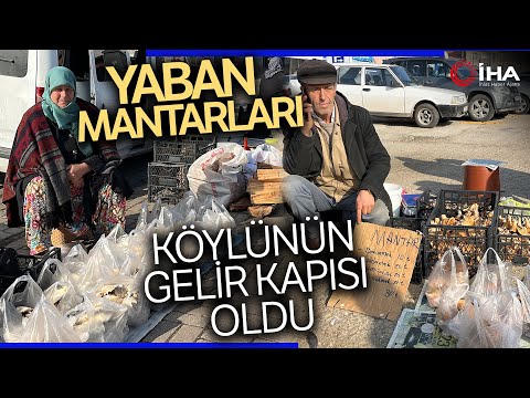 Kazdağları'ndaki Yaban Mantarları Köylüye Gelir Oldu