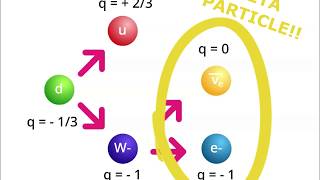 Breakthrough Junior Challenge 2020 | The W Boson, Weak Force, and Beta Decay Explained