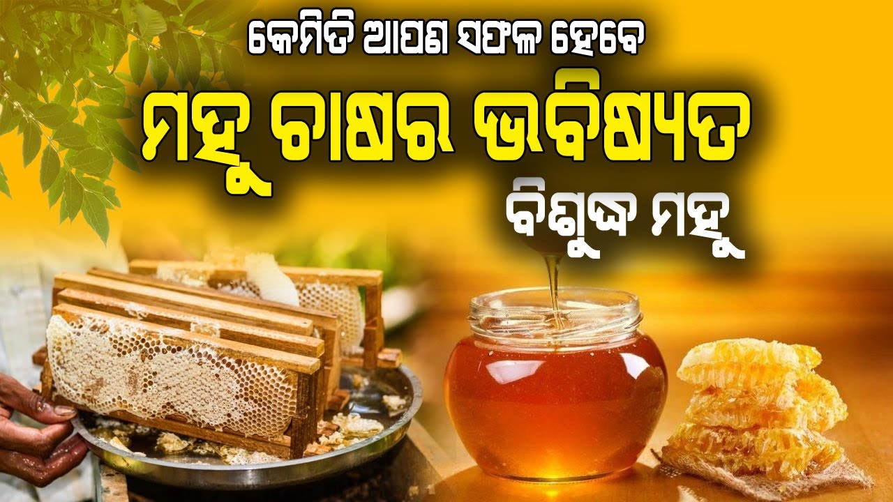 ମହୁ ଚାଷର ଭବିଷ୍ୟତ କେମିତି ରହିଛି || How to Start Honey Bee farming in Odisha. #honeybee