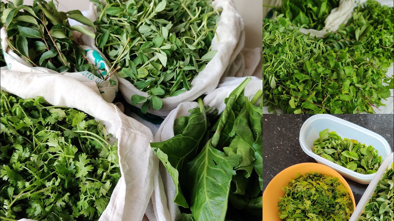 store leafy vegetables / हरी सब्ज़ी् कैसे रखे / kitchentips/ store greens / RupaliRasoii