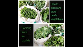 How to wash and store leafy vegetables / हरी सब्ज़ी् कैसे रखे / wash and store greens / RupaliRasoii