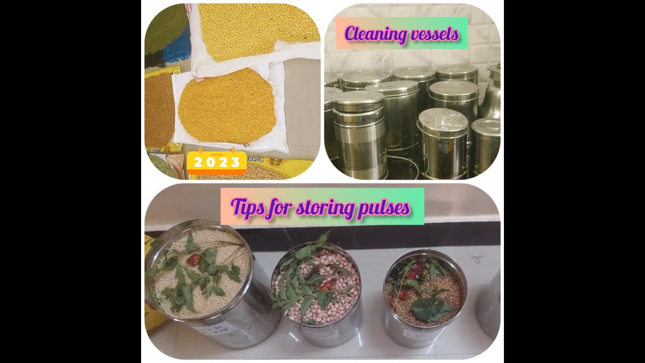 How To Store Pulses Cereals 🥜 🍺 // For a Year // With out bugs for a