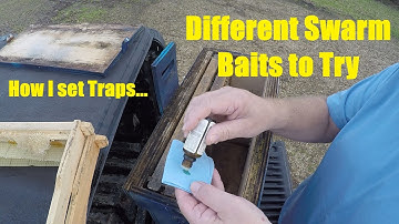 Swarm Traps-Baiting and Setting