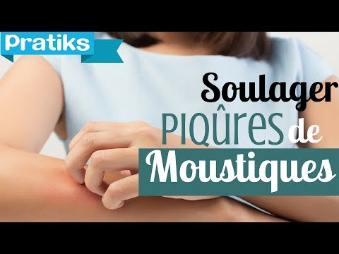 Vidéo: Démangeaisons Des Moustiques