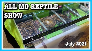 ALL MARYLAND REPTILE SHOW (July 2021) Reptile Expo | Geckos, Lizards, Snakes