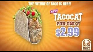 taco bell lo hiso de nuevo taco cat