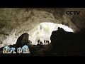 《地理·中国》 坑底藏宝：藏于洞中的古人遗迹 20191020 | CCTV科教
