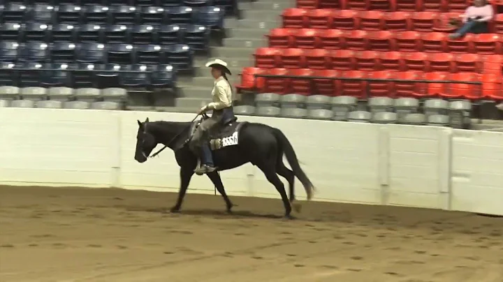 220930 Lv 1 Senior Ranch Riding Hailey M Stebbins ...