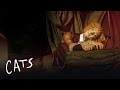 Skimbleshanks the Railway Cat Part 2 | Cats the Musical