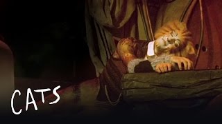 Skimbleshanks the Railway Cat Part 2 | Cats the Musical