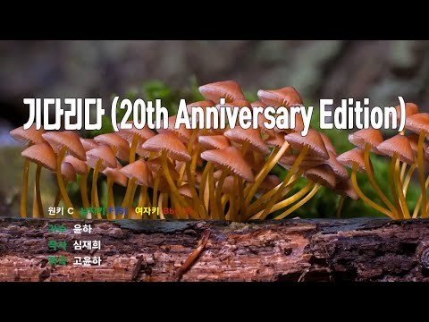 [은성 반주기] 기다리다(20th Anniversary Edition) - 윤하