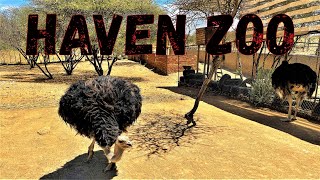 Haven Zoo in Kleine Kuppe suburb in Windhoek, Namibia, southern Africa