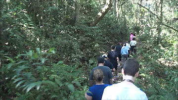 Embu das Artes  - São Paulo - Encorr 2014 -   trilha ecológica