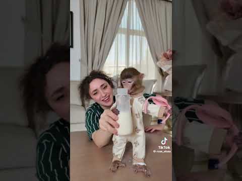 احمدحء