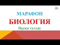 Марафон-Биология | Нұсқа талдау | ҰТО 70-нұсқа | 40/40