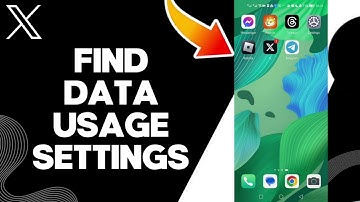 How To Find Data Usage Settings On X Twitter App
