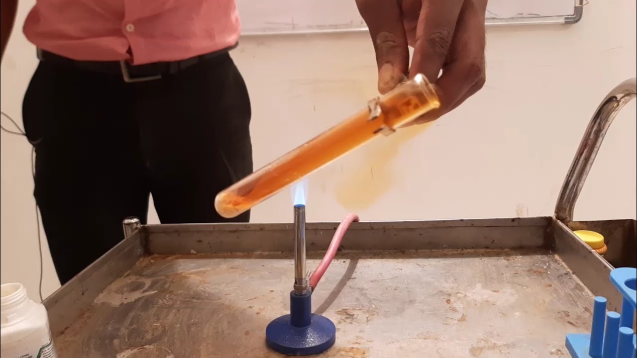 10th Science, Activity 1.6 - YouTube