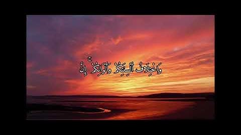 سورة الروم من 21-24 جيل 2008 بصوت ياسر دوسري