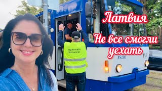 видео: ЭТО СОБЫТИЕ ЗАПОМНЯТ НАДОЛГО // Желающих уехать было много // Рига картинка: ЭТО СОБЫТИЕ ЗАПОМНЯТ НАДОЛГО // Желающих уехать было много // Рига