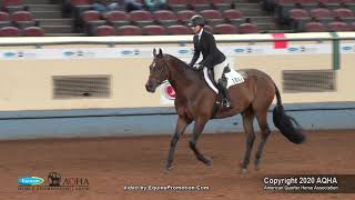 2020 Aqha Amateur Hunter Hack