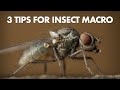 3 Tips for Freehand Insect Macro Photography