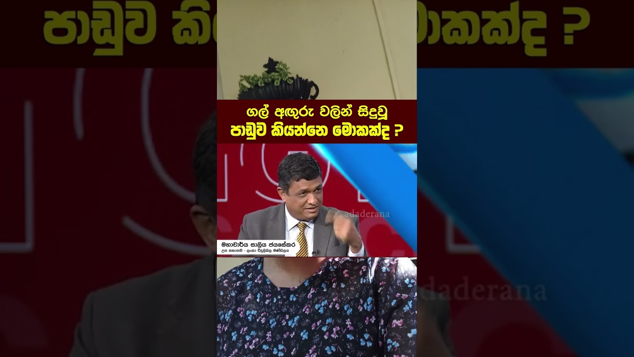 මොකක්ද මේ ගල් අඟුරු ප්‍රශ්නය..?පාඩුව ඒ සමාගම දරාගන්න ඕන  මිසක් ඒක  ජනතාවට බලපාන්නෙ නෑ..