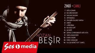 Hozan Beşir - Kırık Kanadım Resimi