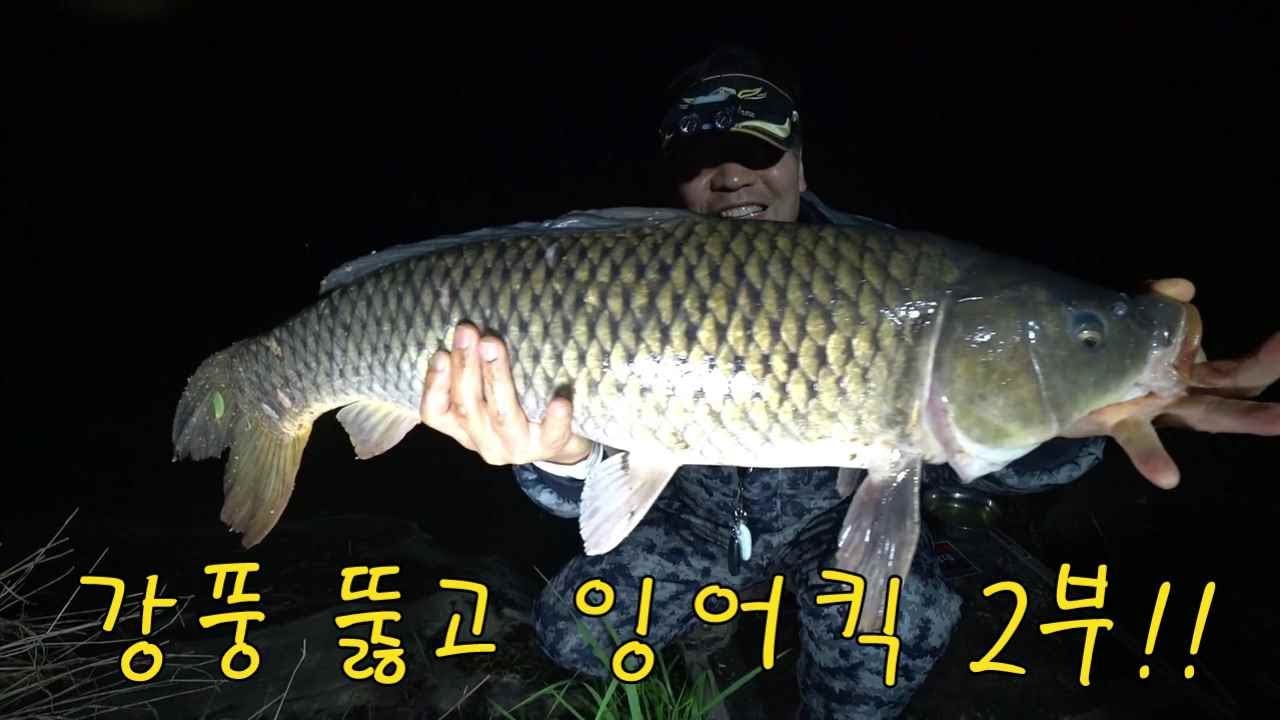 늦봄! 덩치큰 잉어를 만나고 봄을 떠나 보냅니다!!#잉어낚시 #carpfishing #강낚시 - YouTube