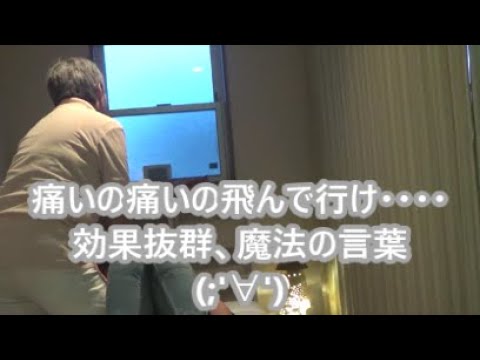 優しい刺激で 短時間施術を心がけています でも ちょっと優しすぎて 短時間過ぎました しかし しっかり満足して頂きましたから Youtube 優しい刺激で 短時間施術を心がけています でも ちょっと優しすぎて 短時間過ぎました しかし しっかり満足して頂きましたから Youtube