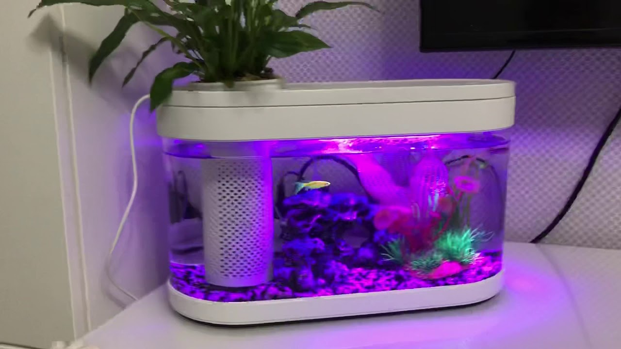 Акваферма Xiaomi Geometry Mini Lazy Fish