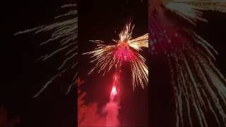 50 Shot Diwali 2025 Skyshot #trendingshorts #shortsfeed #diwalispecial #diwali #diwalistatus #shorts