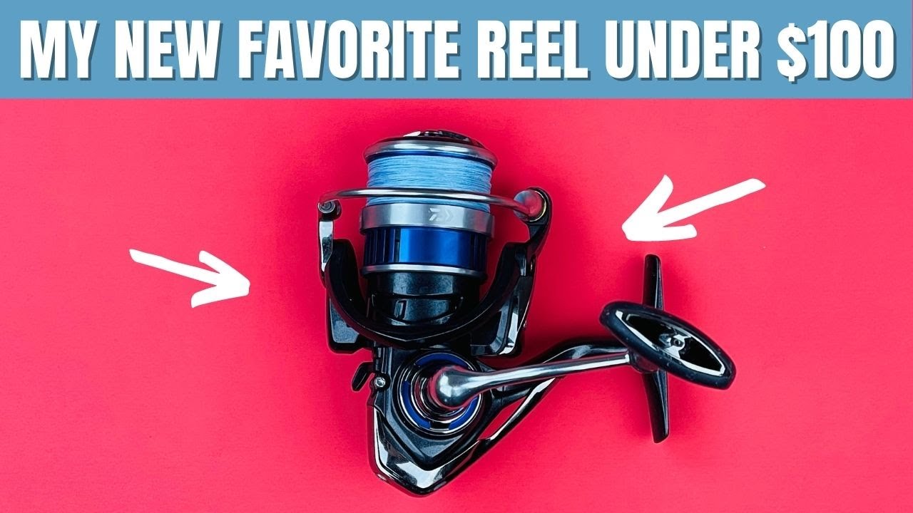 This Is The Best Reel Under the 100 Price Point