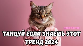 💗ТАНЦУЙ ЕСЛИ ЗНАЕШЬ ЭТОТ ТРЕНД 2024💗